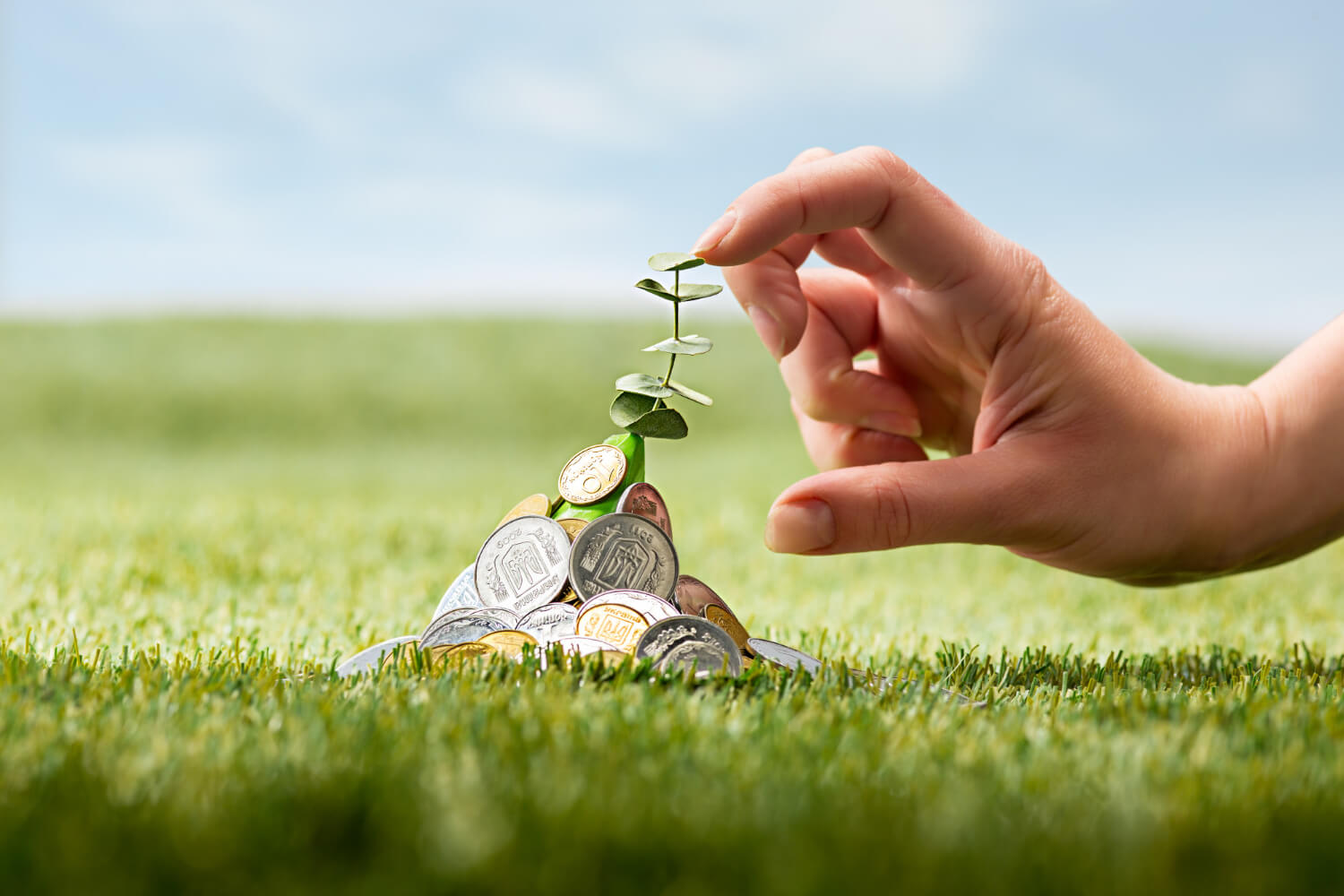 Mão acrescenta folha a rebento que nasce de monte de moedas sobre relva, ilustrando crescimento de investimento sustentável