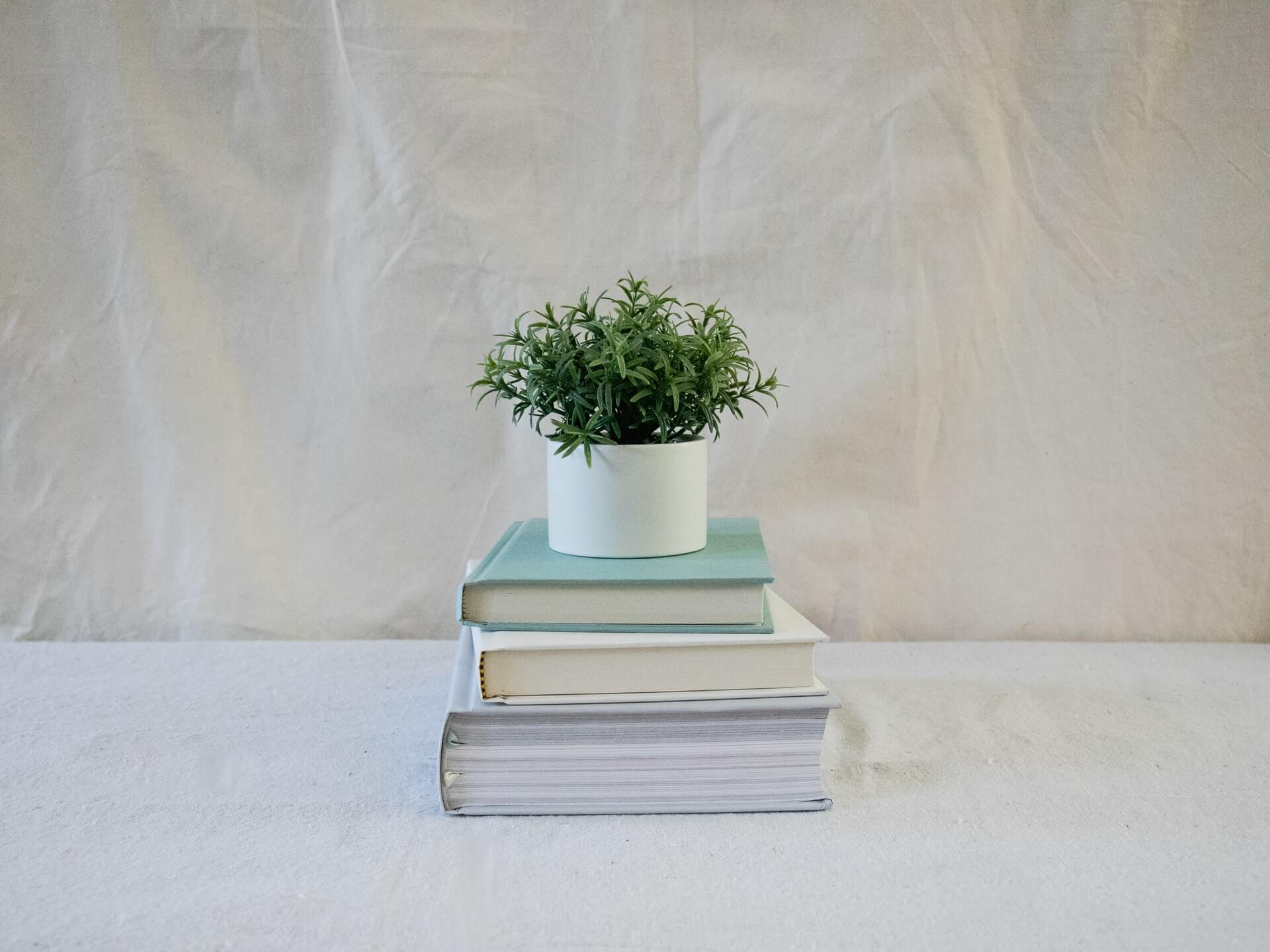 Planta verde num vaso branco sobre três livros empilhados contra fundo claro