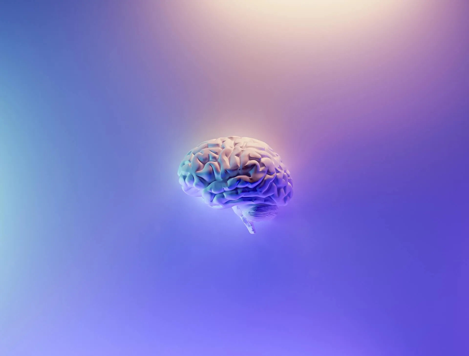 High resolution 3D illustration of a human brain levitating against a soft purple and blue gradient backdrop