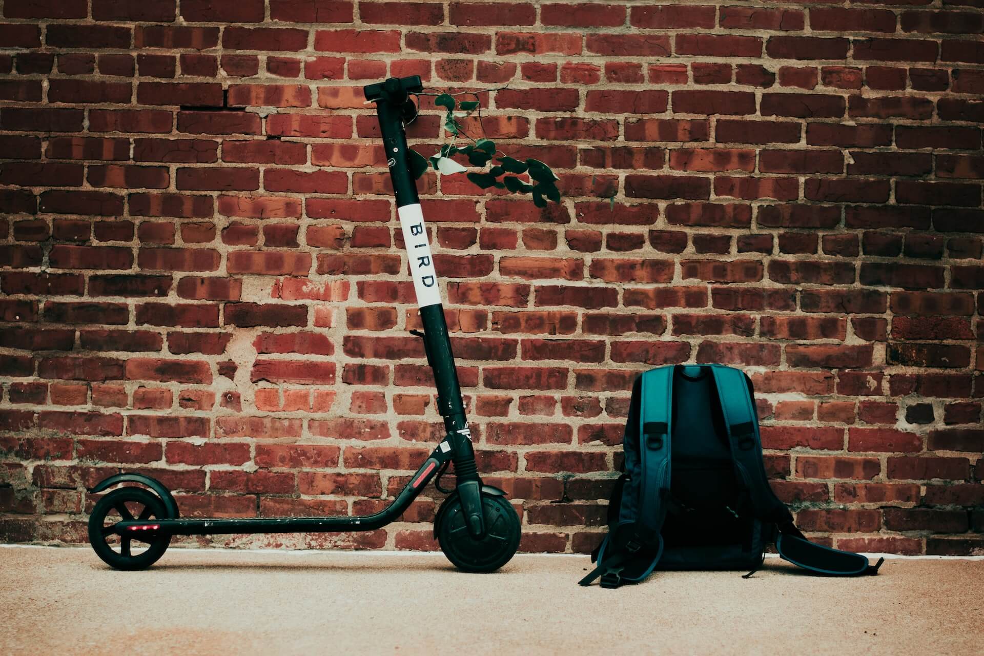 Black Bird electric scooter parked next to teal backpack against a weathered red brick wall