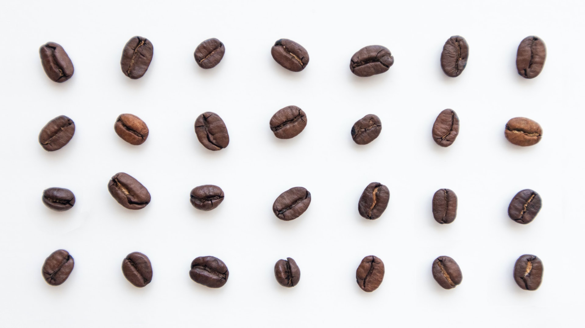 overhead view of dark brown coffee beans evenly spaced in a grid pattern on a white surface