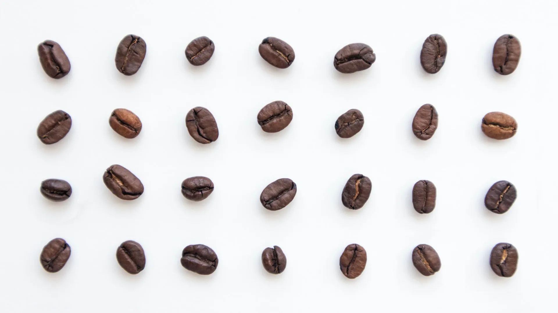 overhead view of dark brown coffee beans evenly spaced in a grid pattern on a white surface