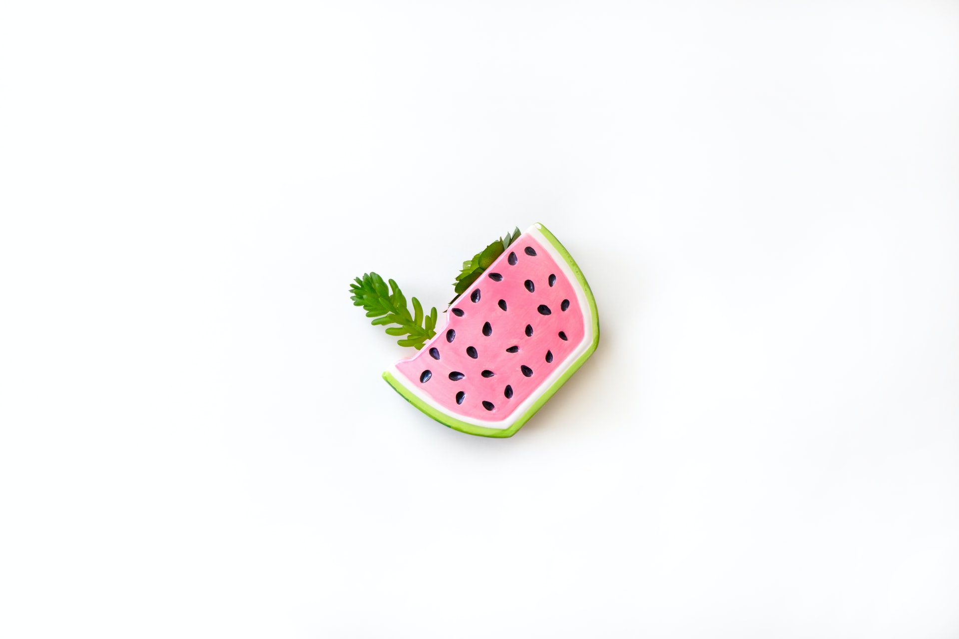 Hand-painted ceramic dish resembling a watermelon slice featuring a pink interior, black seeds and green rind, accompanied by a fern frond on a minimalist white surface