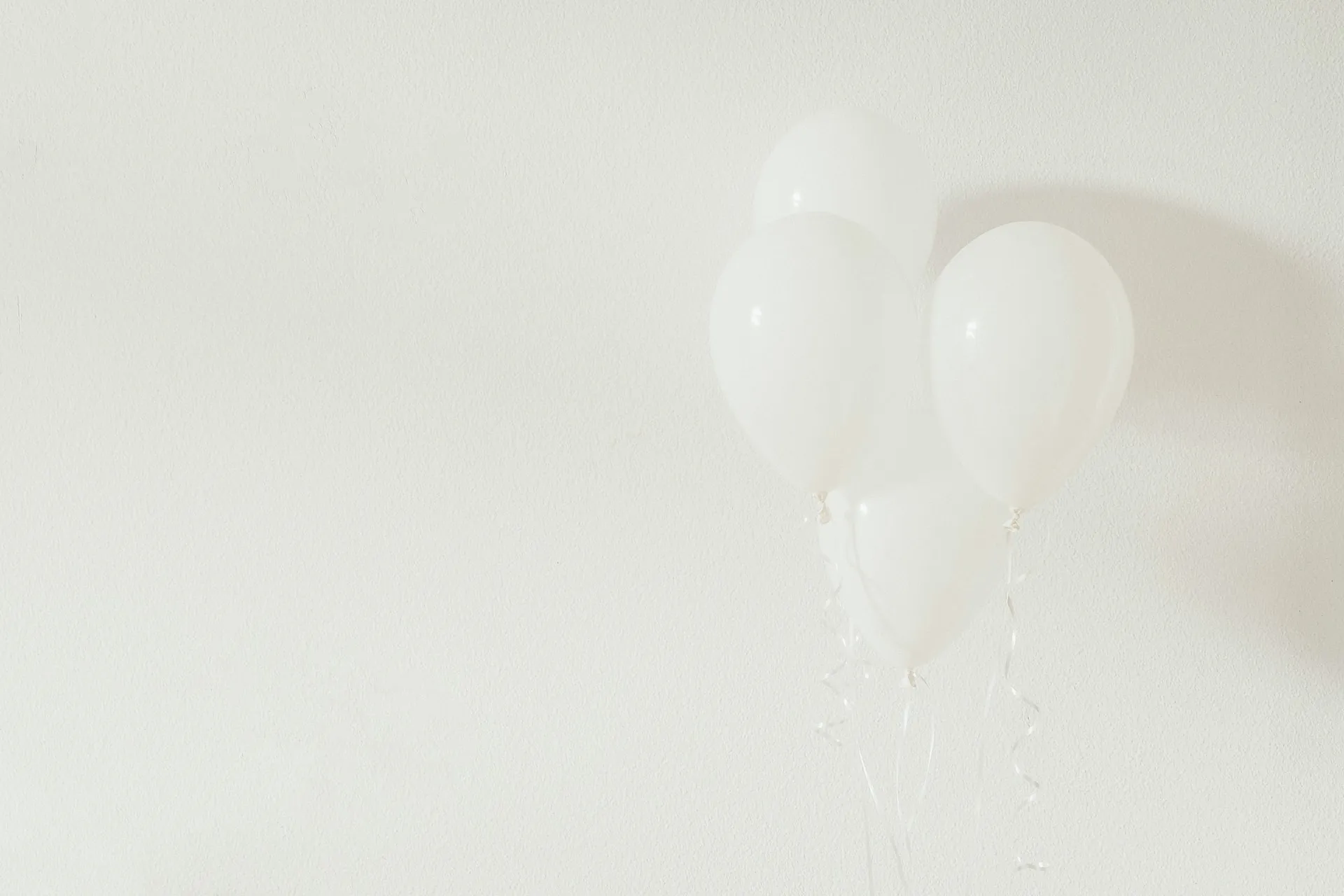 cluster of four white helium balloons with curling ribbons floating next to a white textured wall