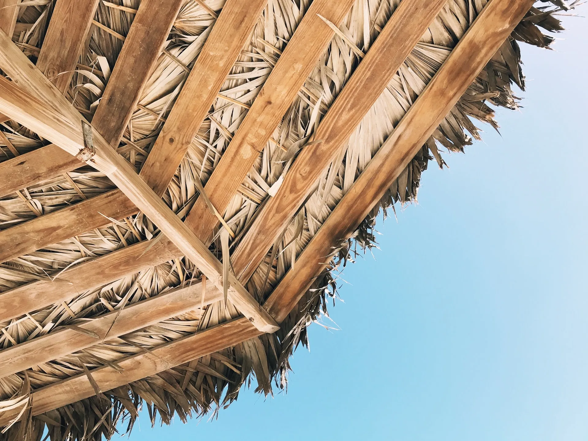 Close up view of wooden frame and dried palm leaf thatch of a beach umbrella roof set against a clear bright blue sky