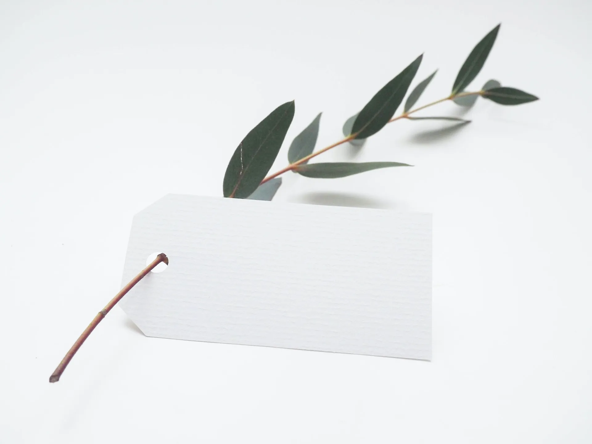 Rectangular white cardstock gift tag with a punched hole at one end, slipped onto a small eucalyptus branch and placed on a white surface