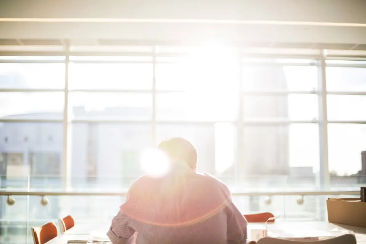 back view of a professional seated at a desk in a modern office with floor to ceiling windows and bright sunlight streaming through