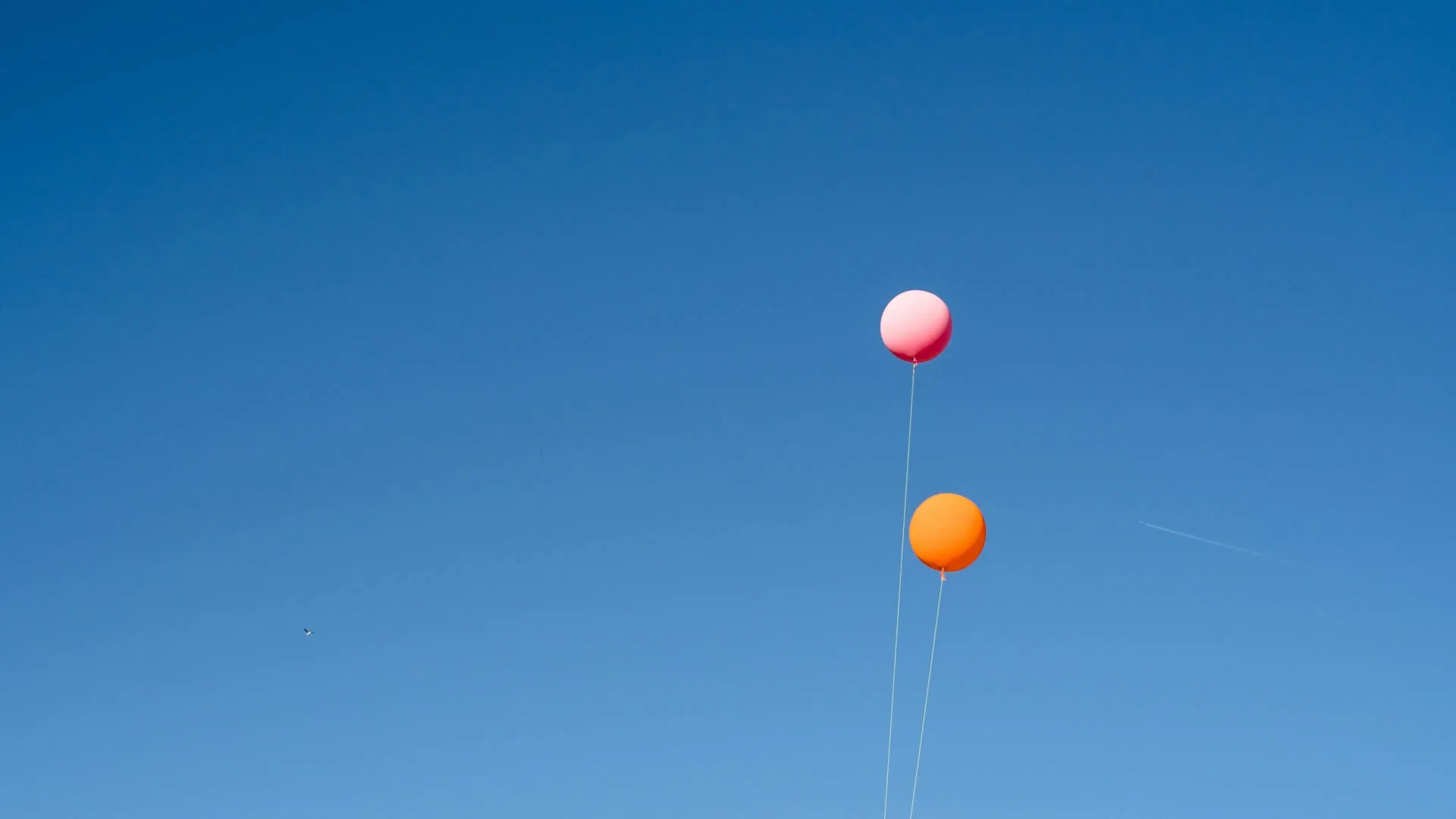 dos globos de helio uno rosa y otro naranja atados a cuerdas finas flotan en un cielo azul sin nubes con una estela de avión tenue en el fondo